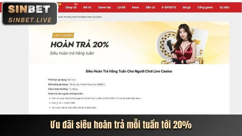 Cá cược thể thao 8sbet với đa dạng bộ môn